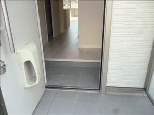 シャーメゾン大沢川原 103号-3
