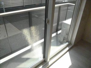 シャーメゾン大沢川原 103号-8