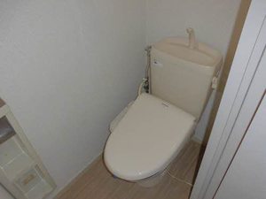 ルミエールコートⅡＡ 205号-10