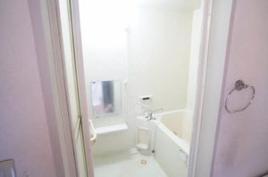 ルミエールコートⅢＥ 102号-10