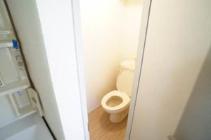 ルミエールコートⅢＥ 102号-11