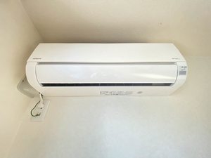 パピヨン 101号-11