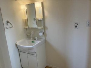 パピヨン 201号-8