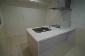 セルディーナ清水町 203号-10