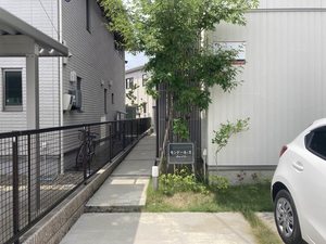 モンドール・Ｔ 102号-3