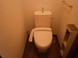 ベルハイムⅤ 201号-4