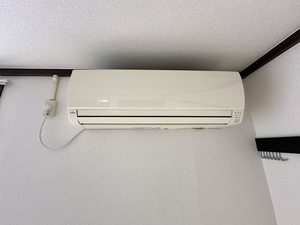 セントラル アベニュー 103号-10