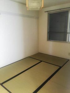 グリーンシャトル柳沼 103号-3