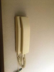 グリーンシャトル柳沼 103号-11