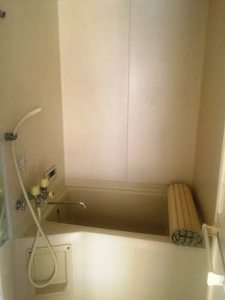 グリーンシャトル柳沼 103号-12