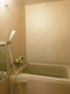 グリーンシャトル柳沼 105号-7