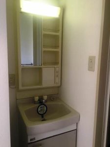 グリーンシャトル柳沼 105号-8