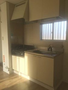 グリーンシャトル柳沼 105号-9