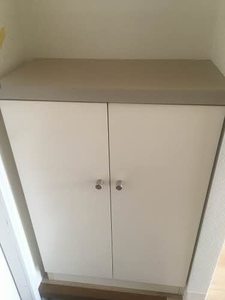 グリーンシャトル柳沼 105号-11