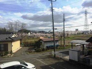 グリーンシャトル柳沼 105号-13