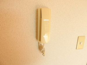 レスポワール西の平 202号-14