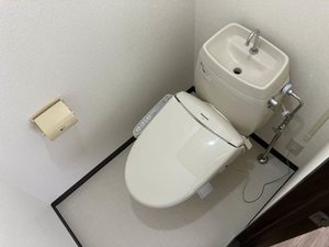 ドミール大樹 203号-6