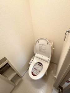 ＨＩＬＬＳ・ＭＩＫＩ 203号-5