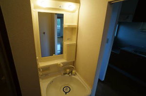 ハイツ・イ－スト 203号-10