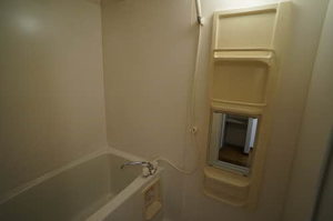 ハイツ・イ－スト 203号-11