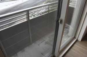 フィオレンティーナＦ 101号-8