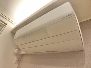 シャーメゾン田園 101号-13