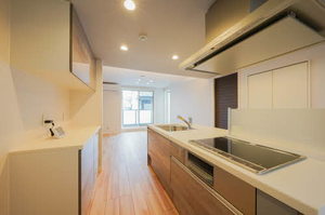 シェーナーヴァルト錦町 203号-8