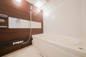 シェーナーヴァルト錦町 203号-10