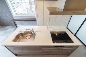 シェーナーヴァルト錦町 301号-5