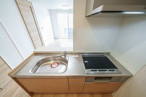 シャーメゾンＡｙａ 103号-6