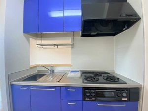 Ｍａｉｓｏｎ　ＭＡＳＴ腰浜町 306号-4