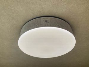 エストグラン　虎丸 201号-13