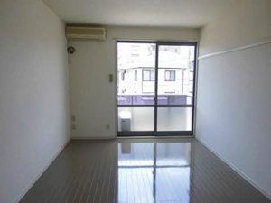 ルミエールコートⅤ 203号-2