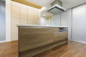 ｍａｉｓｏｎ東二番丁 201号-3