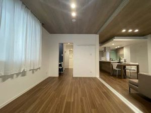 ｍａｉｓｏｎ東二番丁 201号-11