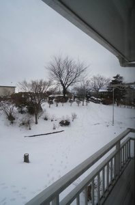 プレ・ステージＢ B202号-13