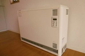 メゾンマスト向中野 C 101号-3