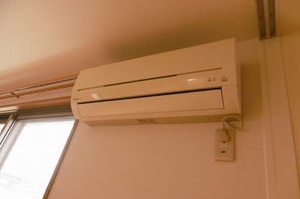 メゾンマスト向中野 C 101号-4