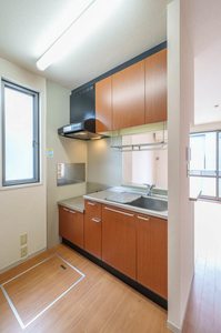 コーラルタウンD 101号-4