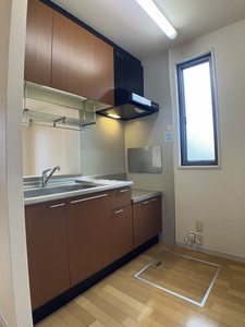 コーラルタウンＤ 102号-5