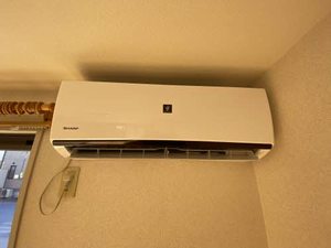 ジュラアーク B105号-7