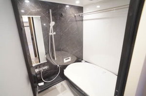 シャーメゾンコア大手町 104号-12