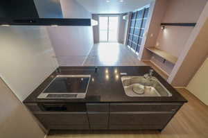 シャーメゾンコア大手町 302号-10