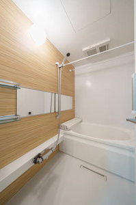 Ｂｉａｎｃａ愛宕橋 202号-8