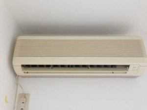 コートルピナス 101号-13