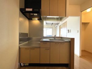 シエスタ水沢 103号-3