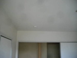 シャトー静 201号-6