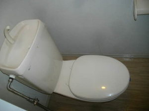 シャトー静 201号-10