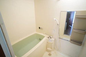 プラチディア 101号-9