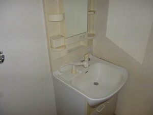 ヴィータＣ 202号-5